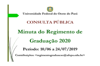 Minuta do Regimento de Graduação 2020